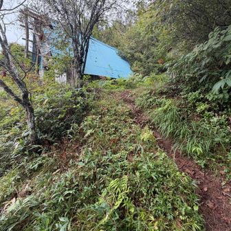 山頂へは小屋の手前で右に登っていきます