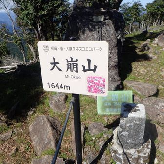 四度目