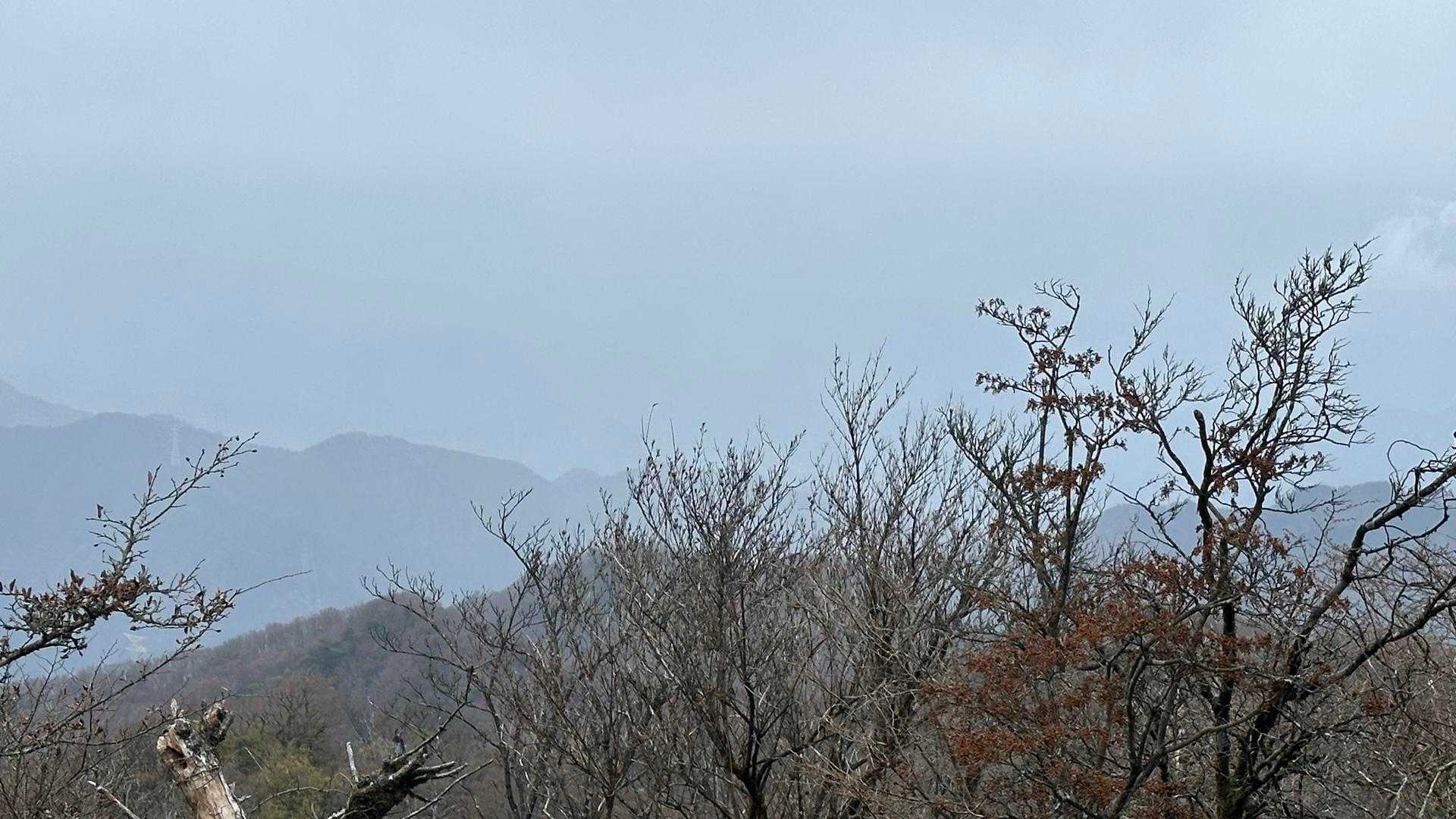 
高尾山はこの方向だけど、ガスガスで分かりませんね