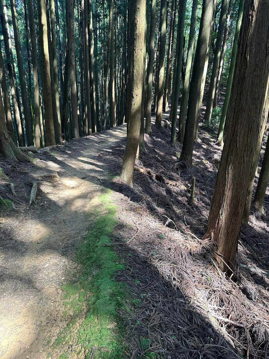 好きな尾根筋😊