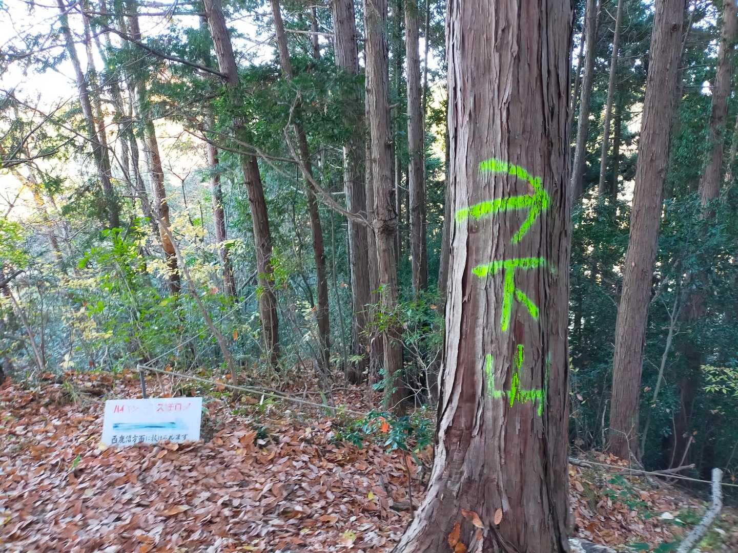 ありがたやm(_ _)m