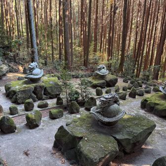生駒山・神津嶽・大原山 辰年の間に来られて良かった☺️🙏