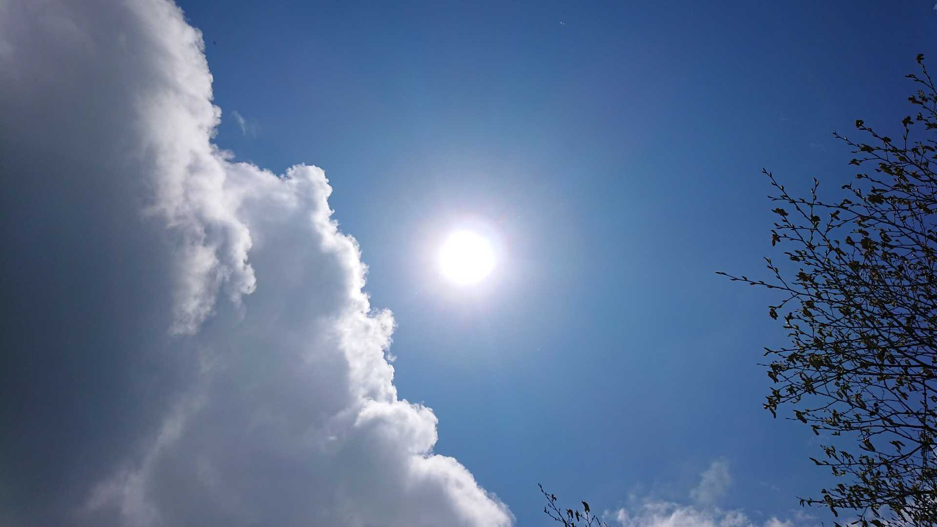 太陽
下山します