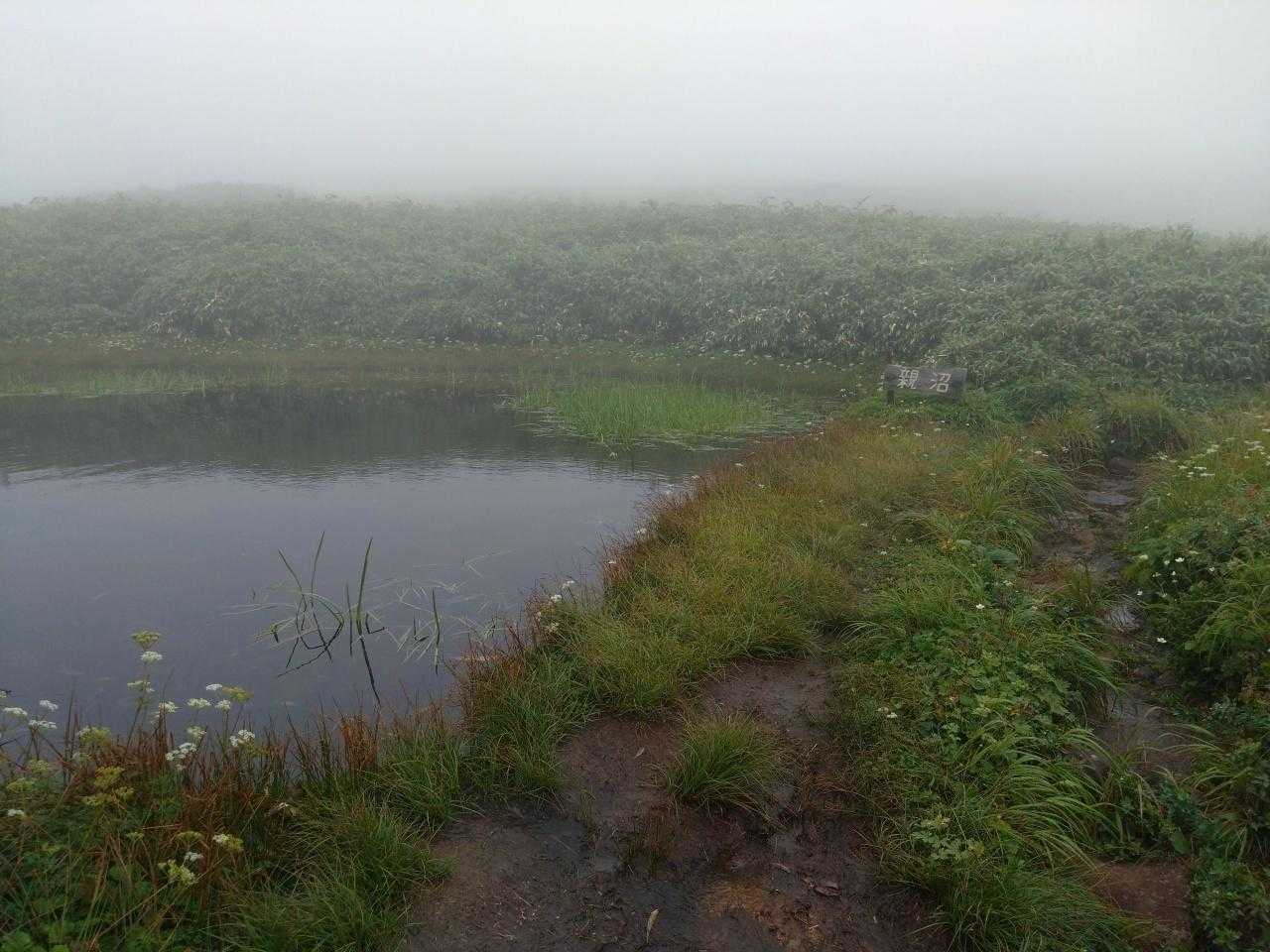 道沿いに親沼。意外と小さい。