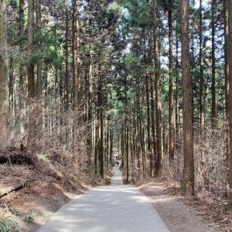 さくさく下山して、登山口からはアスファルト舗装路。ここの傾斜が意外とキツいが、登山靴のグリップで無問題。