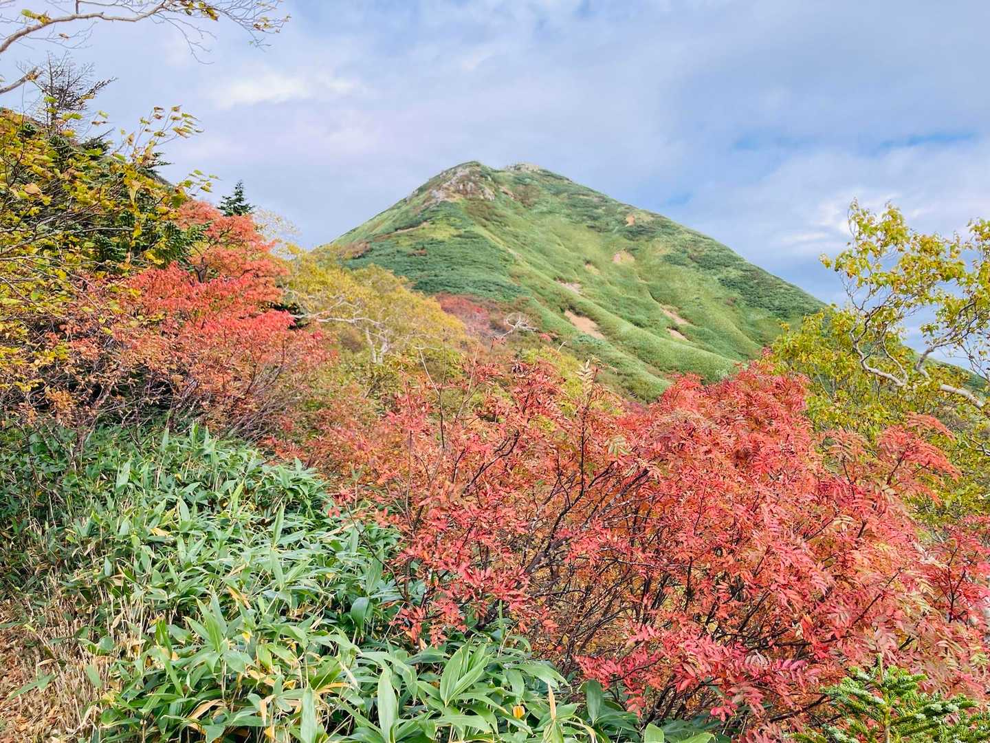 斜面は特に紅葉が進んでいる。