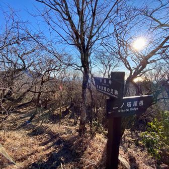 尾根に出ました、ここから絶景続きです