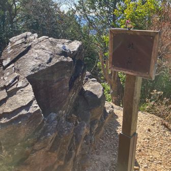 蛙岩⁇
どう見たら蛙🤔