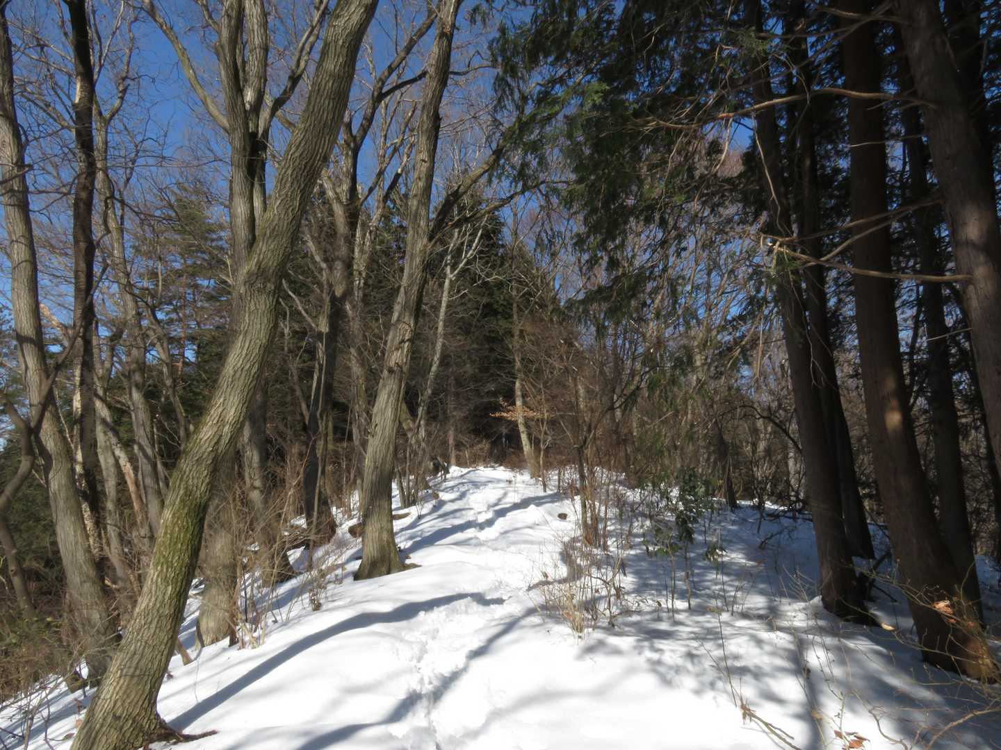 山頂人も増えてきたので☕タイムを切り上げて下山。