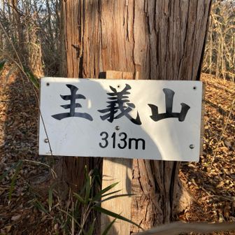 ひたすらアップダウンしながらピークを踏み続ける