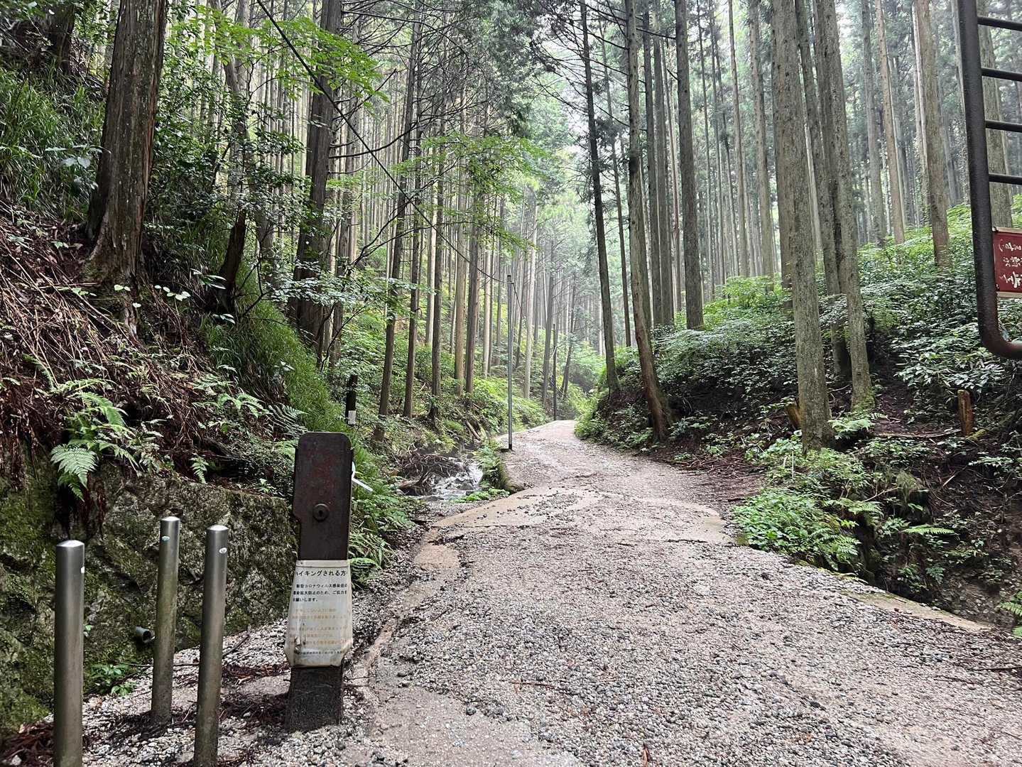 千早本道登山口-金剛山-金剛山山頂売店-転法輪寺-金剛山葛 縦走コースの写真