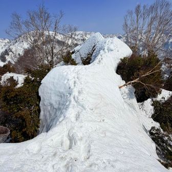 ほんと後悔しますよー