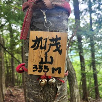 加茂山
眺望はほとんどないけど