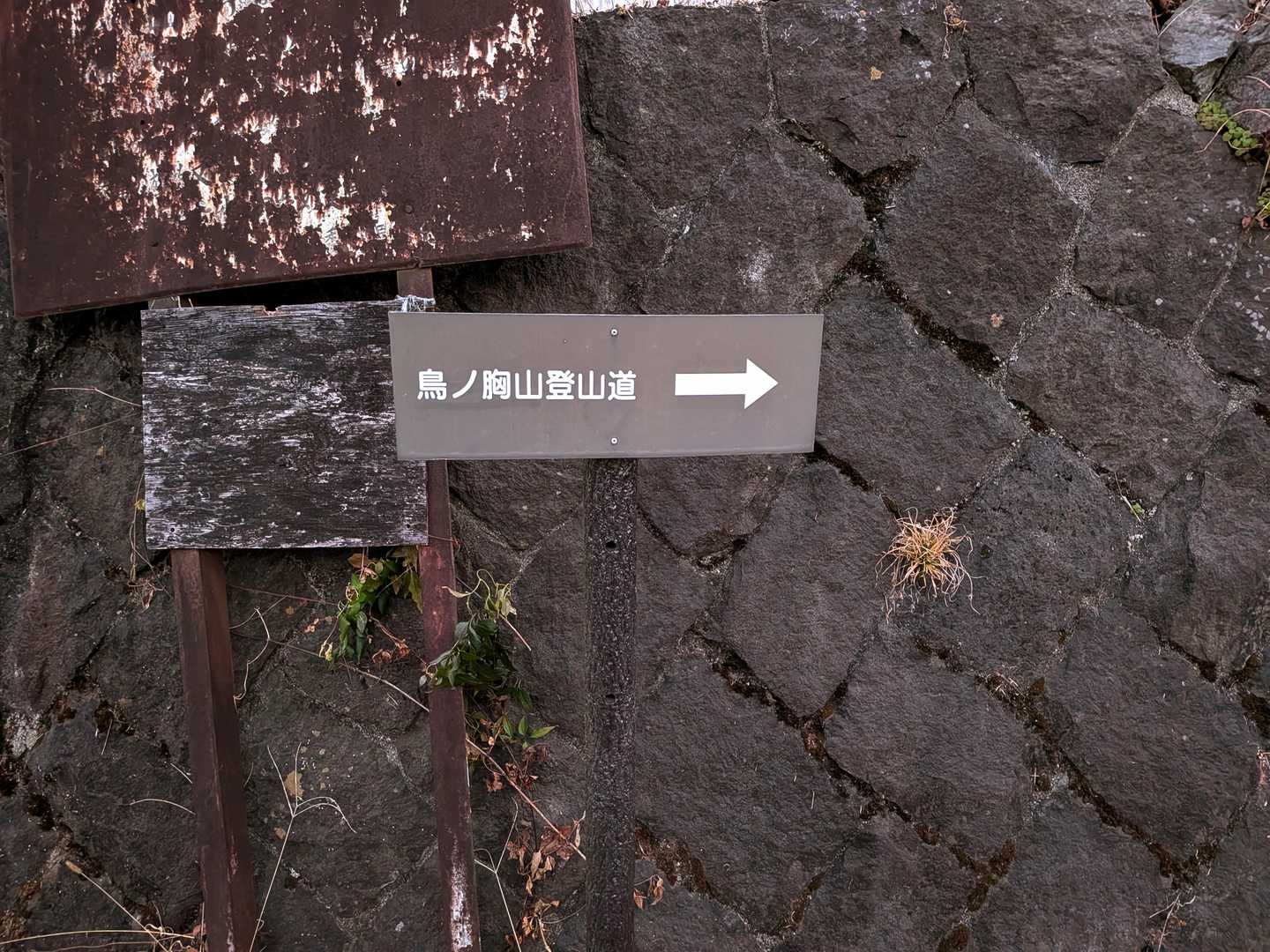 道の駅どうしで車中泊😪💤

前にも見たこの看板。疲れ果てて行けなかった😅
