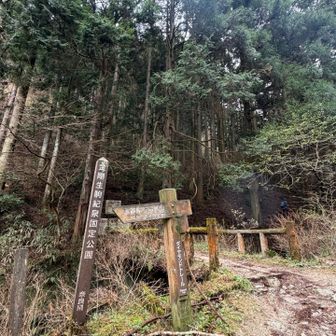 ウグイスが近くで鳴いてる！