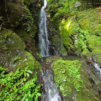 舗装路から登山道になり、沢沿い登り｢大滝｣到着＼(^o^)／涼しい〜いつまでも居たいなぁ
