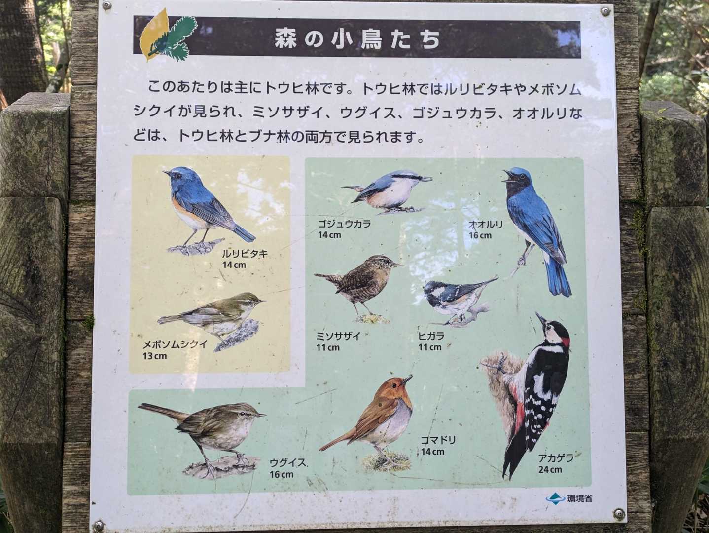 ビジターセンター-大台ヶ原山（日出ヶ岳） 往復コースの写真