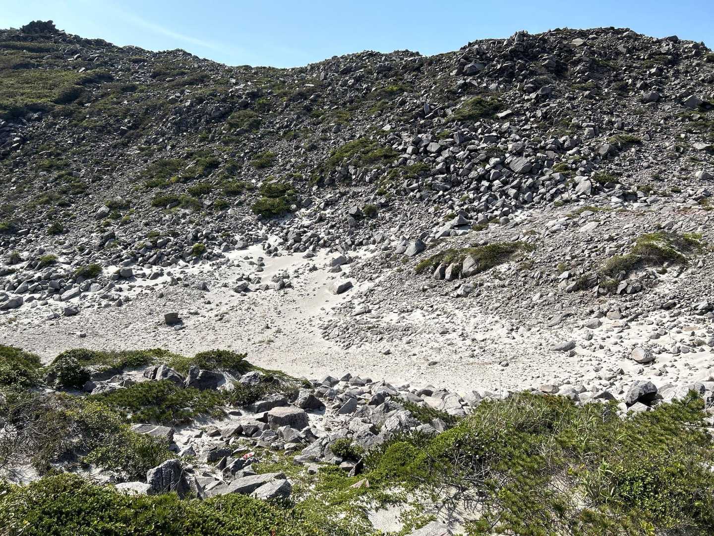 黒島登山口-天上山-千代池 往復コースの写真