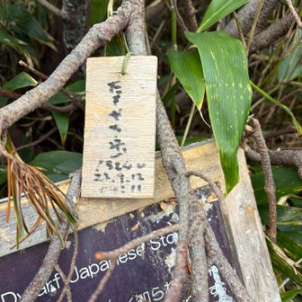 最初のピーク⛰️表記探したら、小さくひらがなで🤭
たもやち岳と
漢字じゃ読めないよね漢字は田茂萢岳