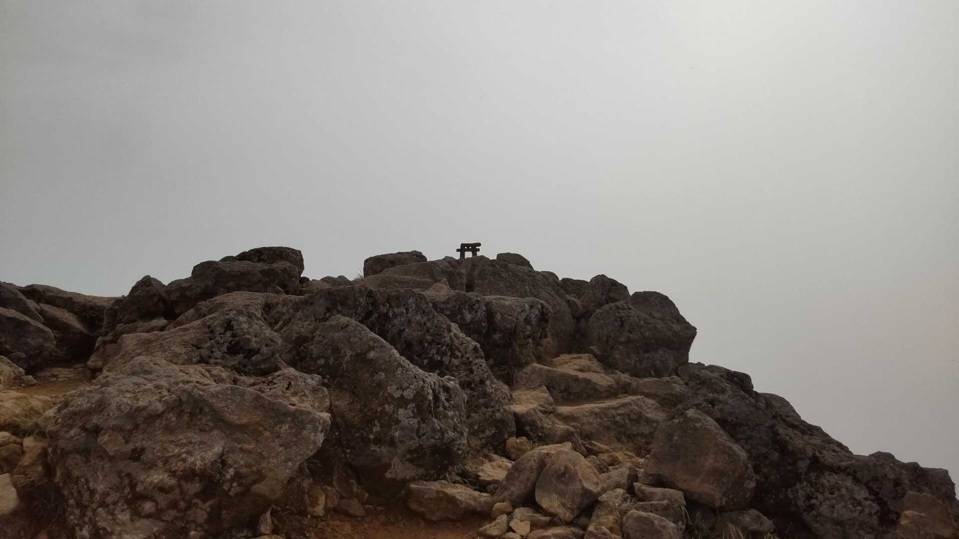 峠の茶屋登山口-朝日の肩 往復コースの写真