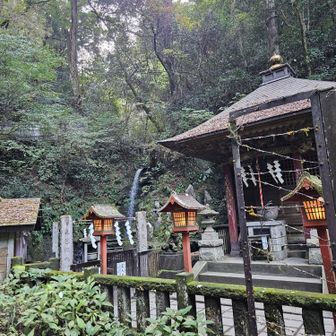 琵琶滝
灯籠にオレンジの🟠火が灯っていました。