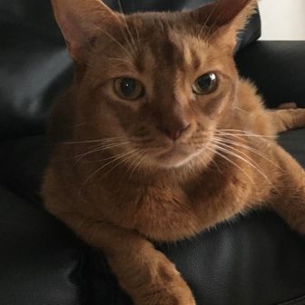 不自由人（ひろ😸）