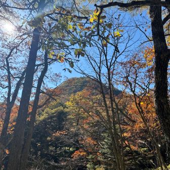 高山