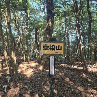 藍染山登頂！温度計設置してあった