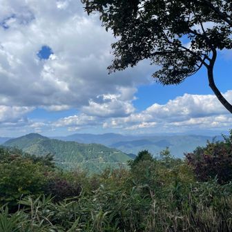 目の前が高賀山
人気のお山で瓢ヶ岳より眺望いいよーと山頂でご一緒したベテラン女性ハイカーさんより
次はあそこだね😊