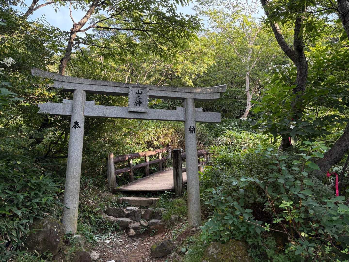 行ってきます