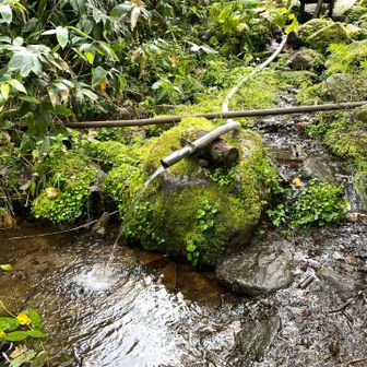 湧水あり。生飲は浄水器または煮沸が必要