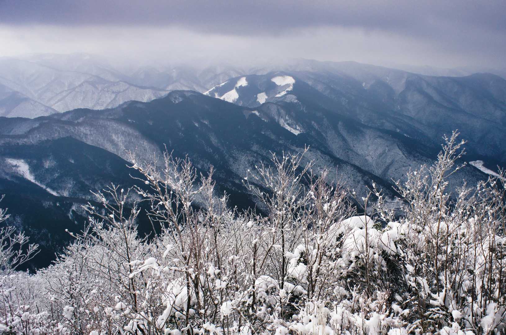 高見山-カヤノ山-天狗山-船峯山-黒石山-高山-差杉峠 周回コースの写真