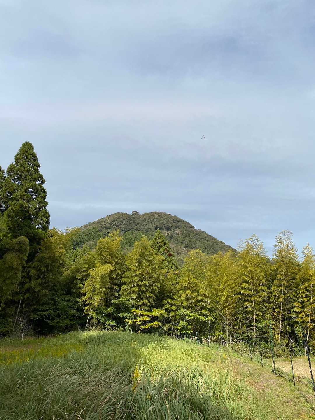 正面にはこれから登る高須山！