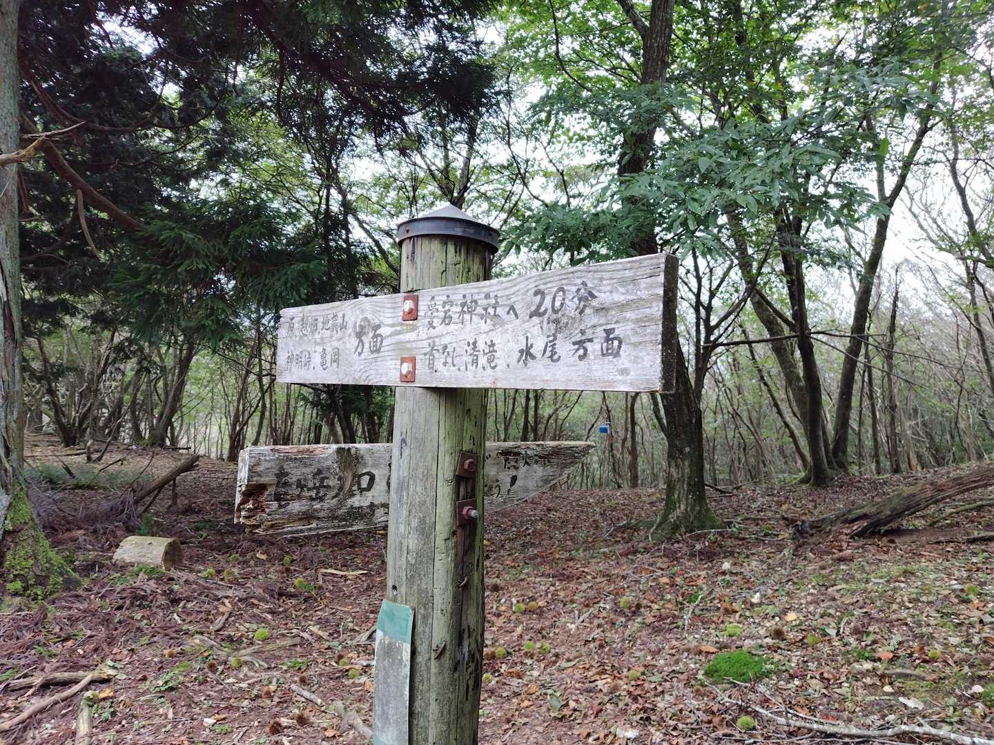 竜ヶ岳分岐通過。