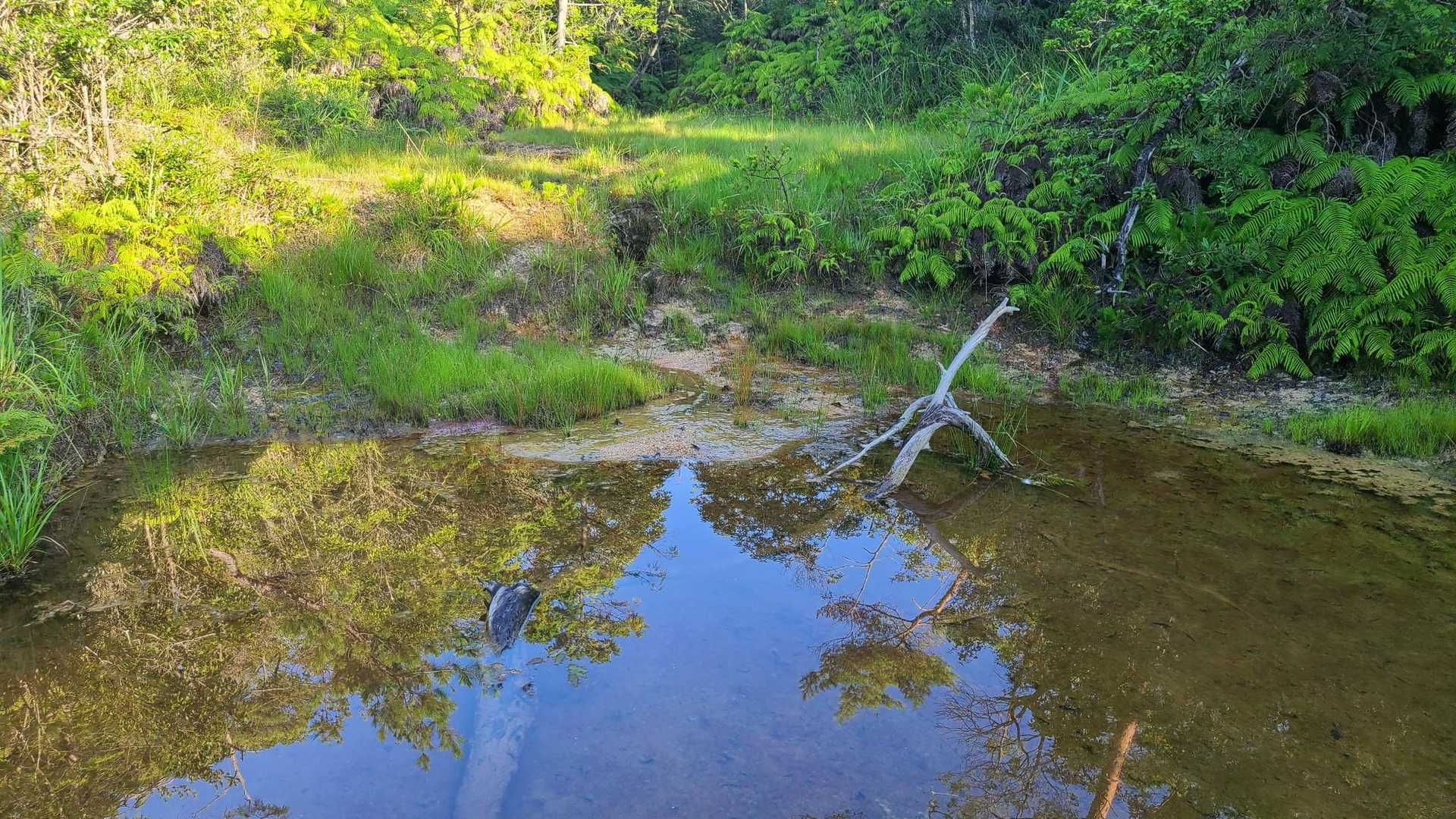 この辺りから池がいくつかあります