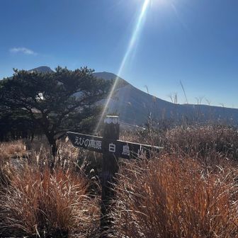 先っぽが可愛い！