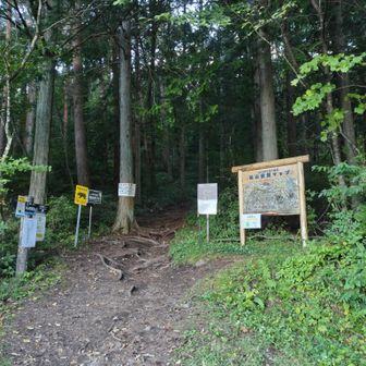 登山口に🐸りました

今回は、今年の夏山を象徴した山変でしたが、終わってみれば最初から空木岳に来なさいって招かれていたの🦆美しい紅葉真っ盛りのアルプス女王様でした👍

メモ
本日の水の消費　500mL 4.5本🥤

ps.翌日足バキバキです😆