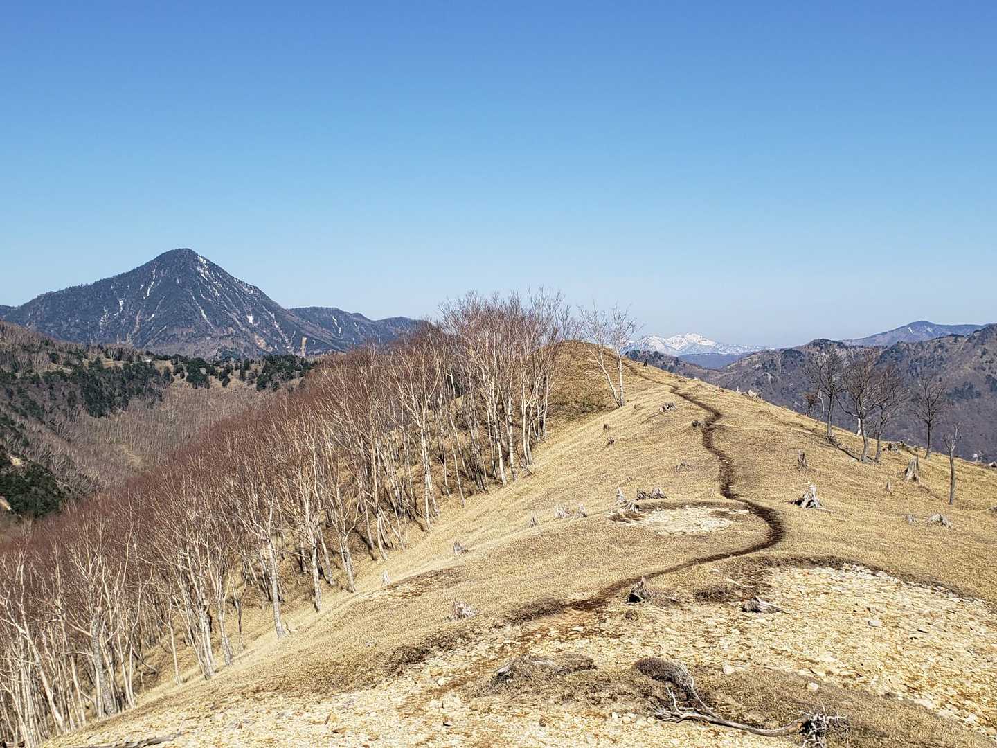 武尊山(雪山)です
左は皇海山
