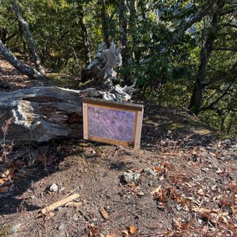 行ってみました