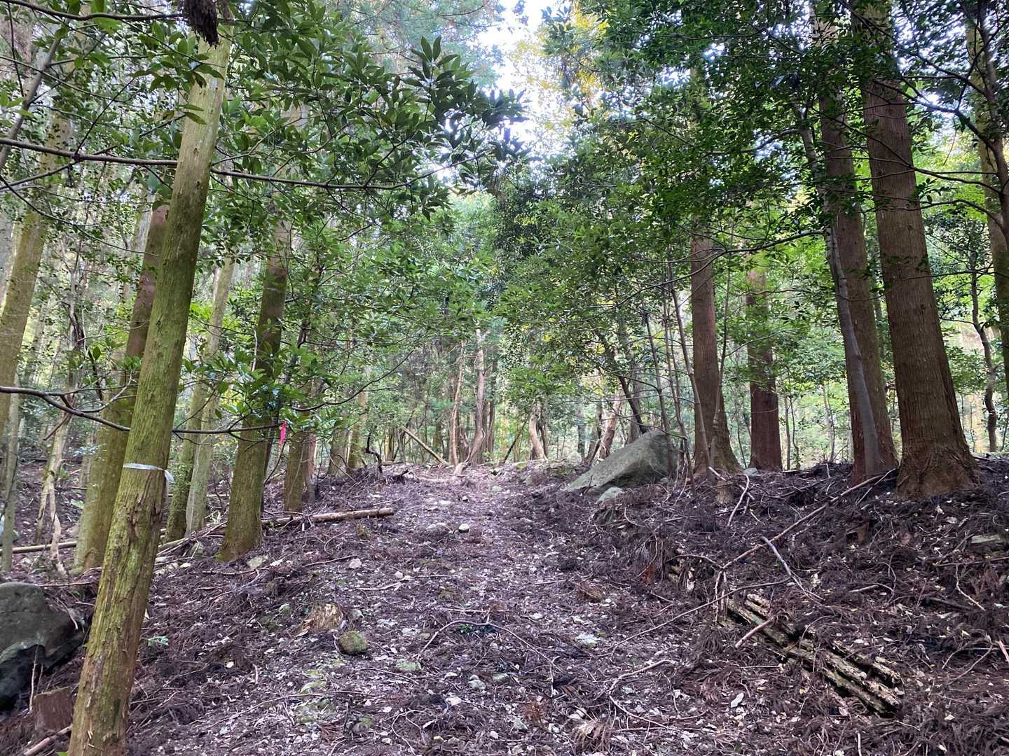 文珠山 周回コースの写真