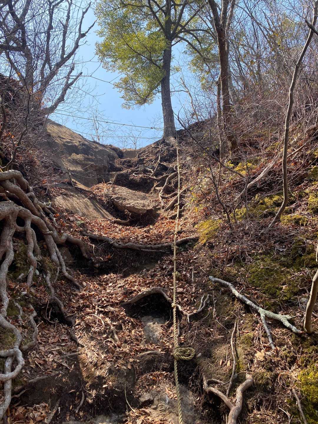 笠丸山から地蔵峠へ
ロープ場あり⚠️