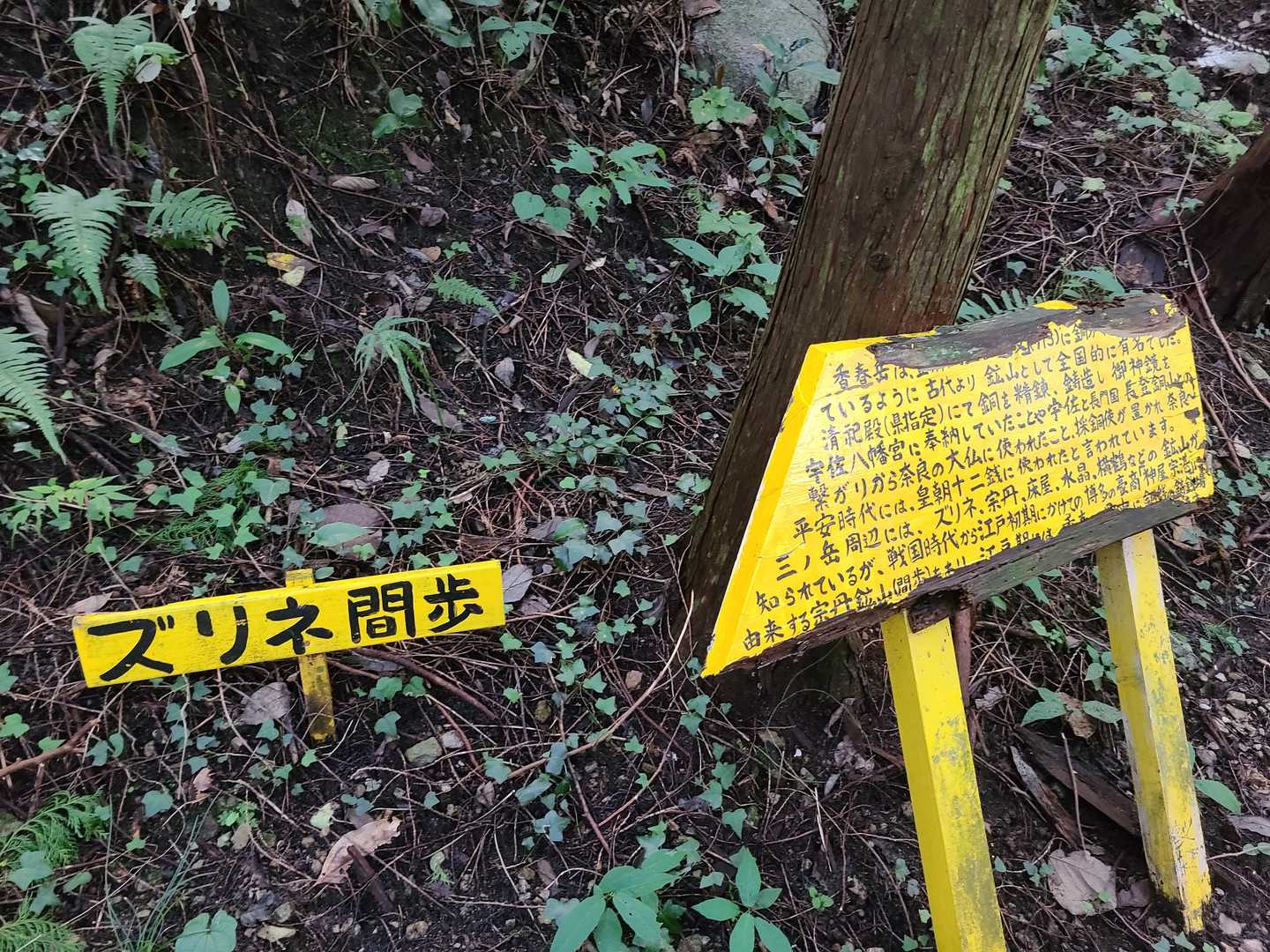 五徳越峠-三ノ岳 往復コースの写真