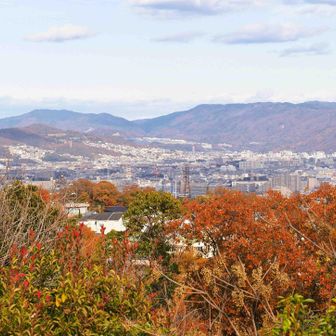 甲山森林公園展望台
池田市街と五月山
