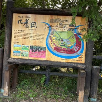 いよいよ巾着田✨へ