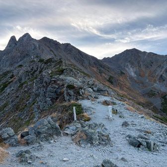 振り返って