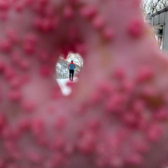 帰りも小屋で☕食べかけの穴から師匠🤫