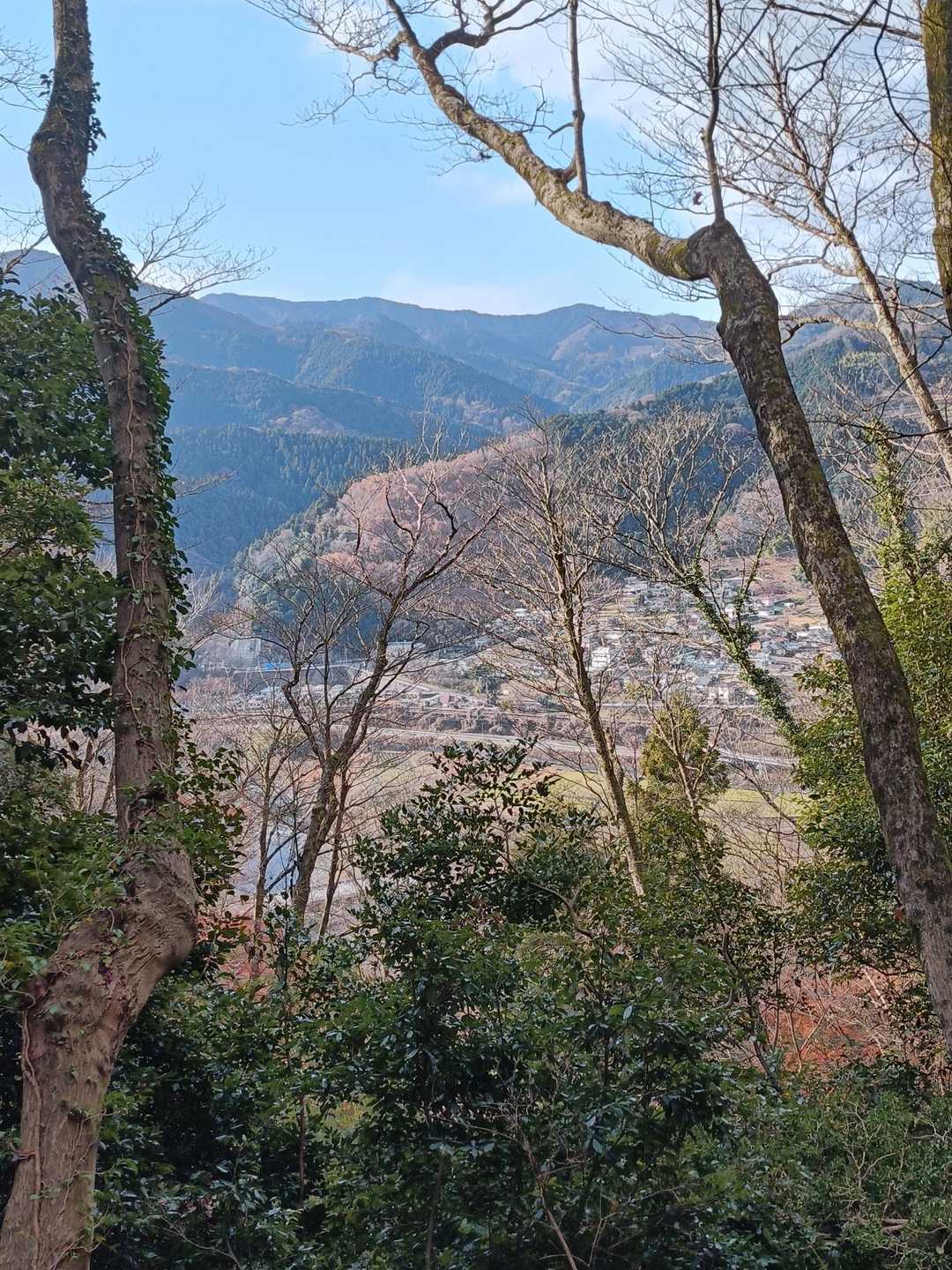 約1時間でやっとこの高さ
🐢🐢🐢