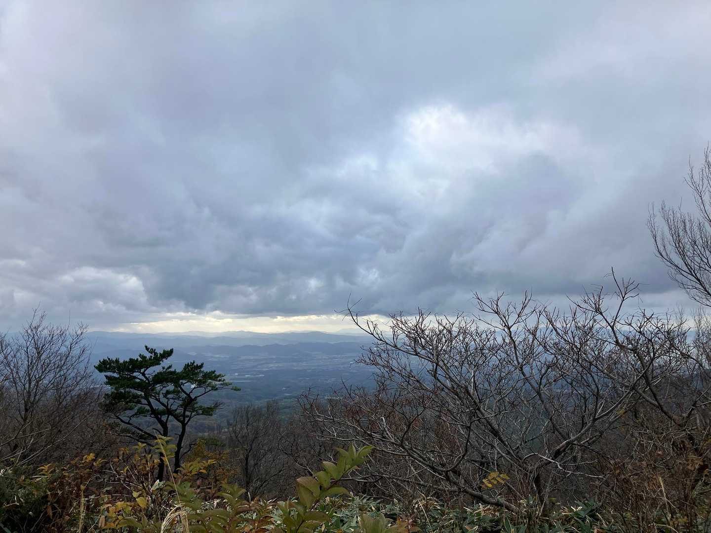 さぁ戻りましょ〜🚶‍♂️‍➡️