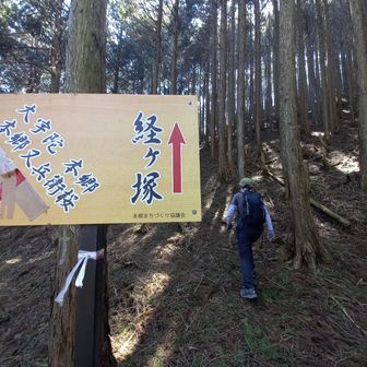 最後に山頂直下の急坂😱を登ります。