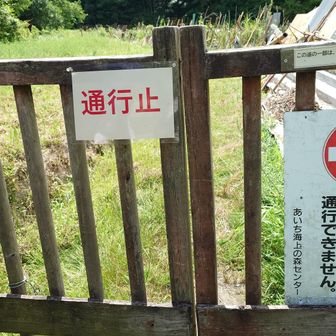 物見山行けれんやん！